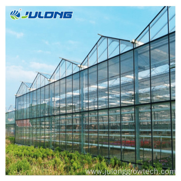 agriculture glass greenhouse tomato hydroponics smart farms